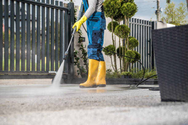 Best Sidewalk Pressure Washing  in Blissfield, MI