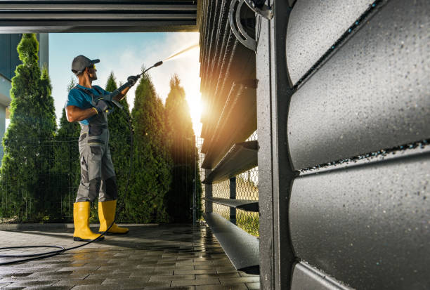 Best Roof Pressure Washing  in Blissfield, MI