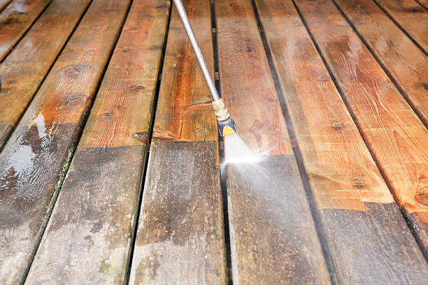 Best Residential Pressure Washing Services  in Blissfield, MI