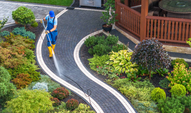 Best Affordable Power Washing  in Blissfield, MI