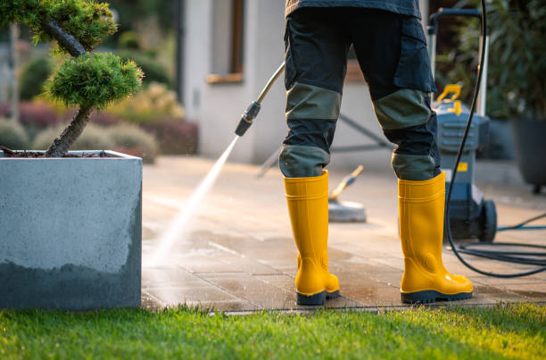 Best Local Pressure Washing Services  in Blissfield, MI
